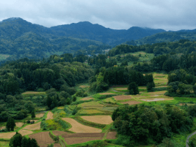 消えゆく繊維産地で､今を編む