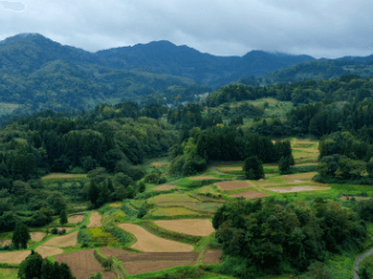 消えゆく繊維産地で､今を編む