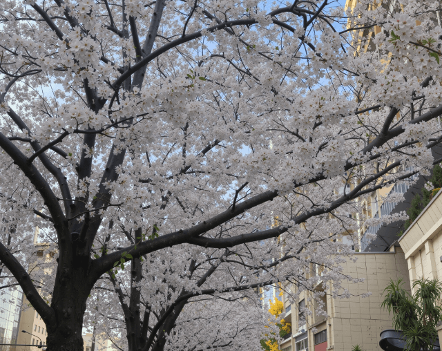 試行錯誤していたプロジェクトがようやく安定化フェーズに