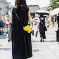 how people use _go polygon W for Camera M/_go polygon W for Camera L 3