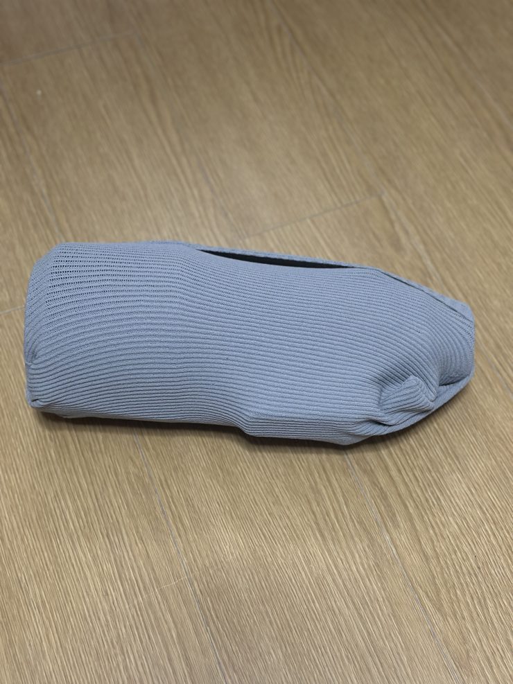 パンダ撮影に中国へ