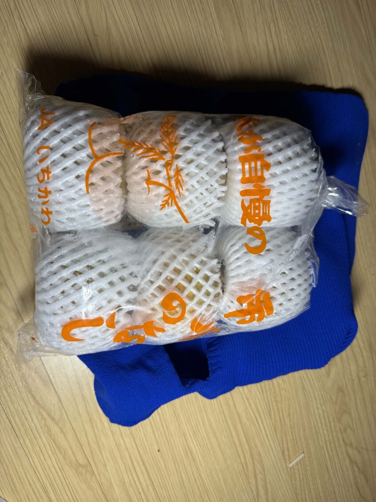 望遠レンズを普通のディパックで手軽に持ち出し