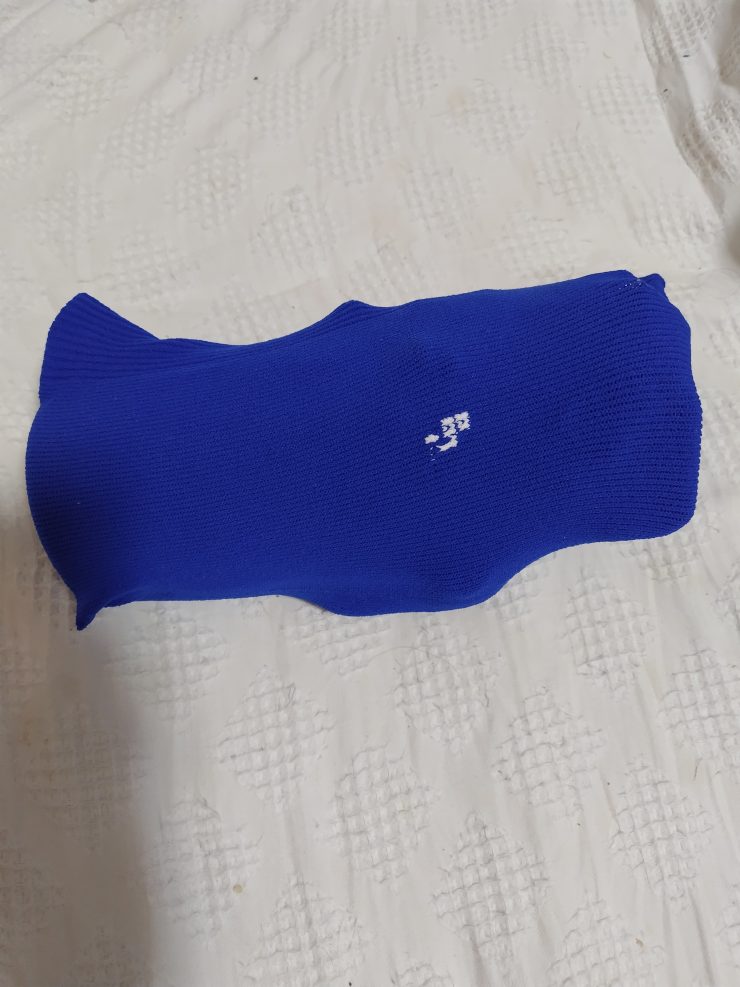 バードウォッチング