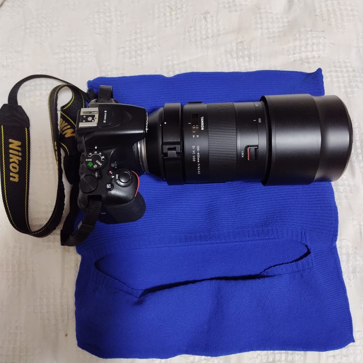 バードウォッチング