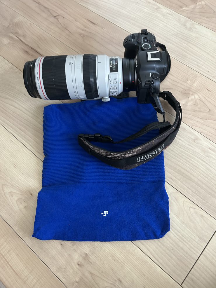 近くの公園に徒歩で探鳥