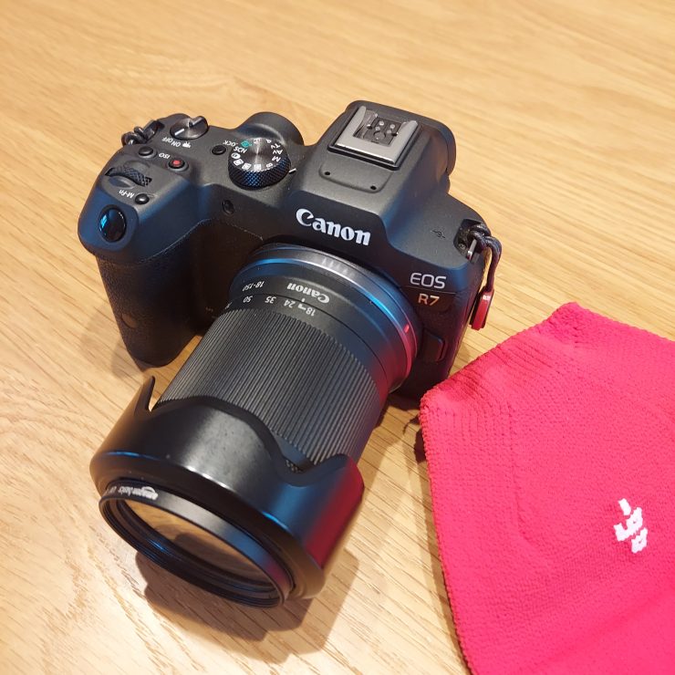 ちょっと小さすぎたかな