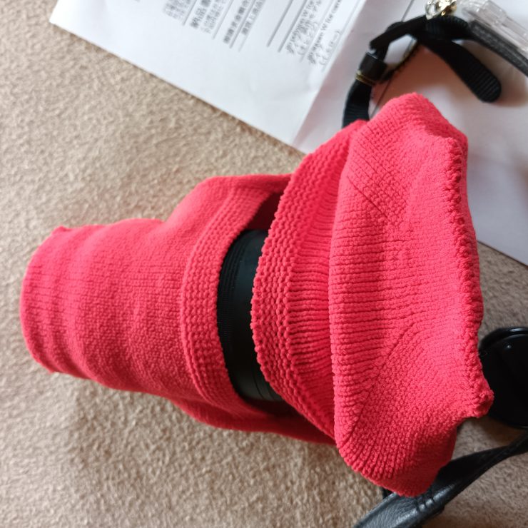 Olympus pl9 と_go polygon W for cameraS