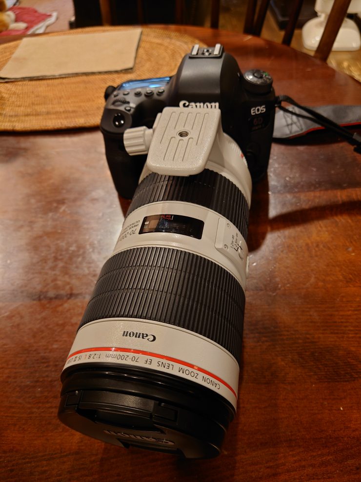 Canon EOS 6D Mark II ＋ EF70-200mm F2.8 と _go polygon XL