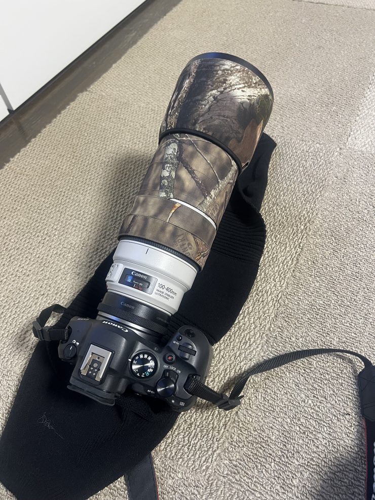 Canon EOS R6 Mark II