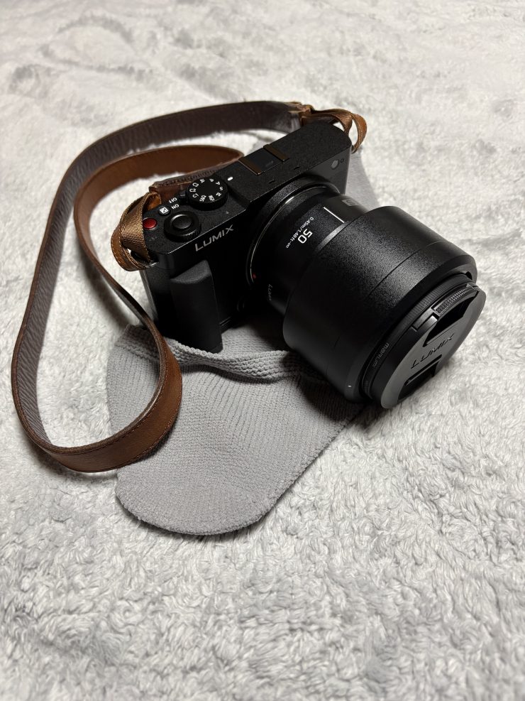 lumixS9と_go polygonS