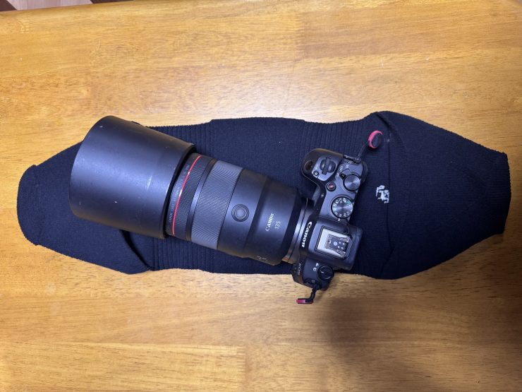 Canon EOS R8と_go polygon XL