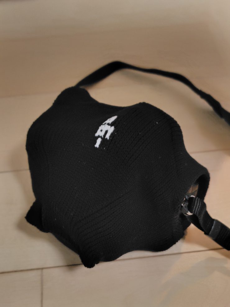 Nikon z50ii DX16-50 と_go polygon W for cameraS