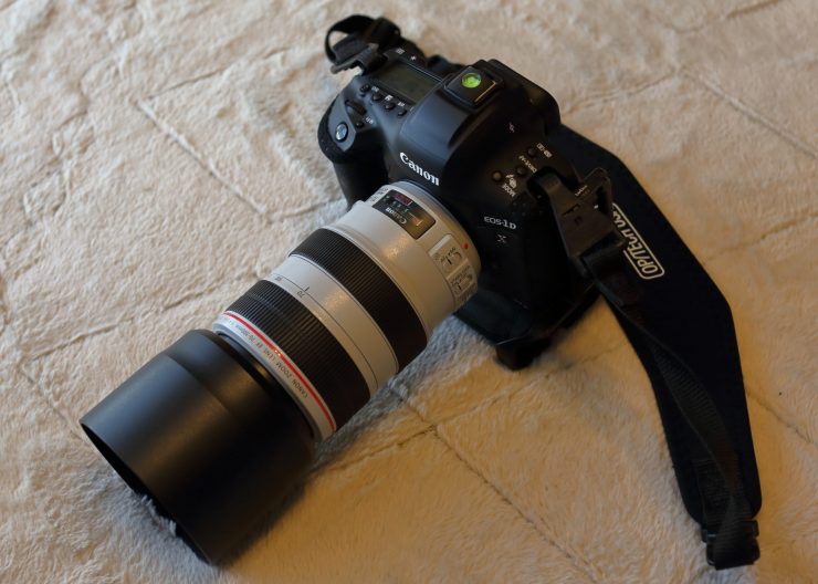 Canon EOS-1D X Mark III＋EF100-400mm F4.5-5.6＋レンズフードと_go polygon XL