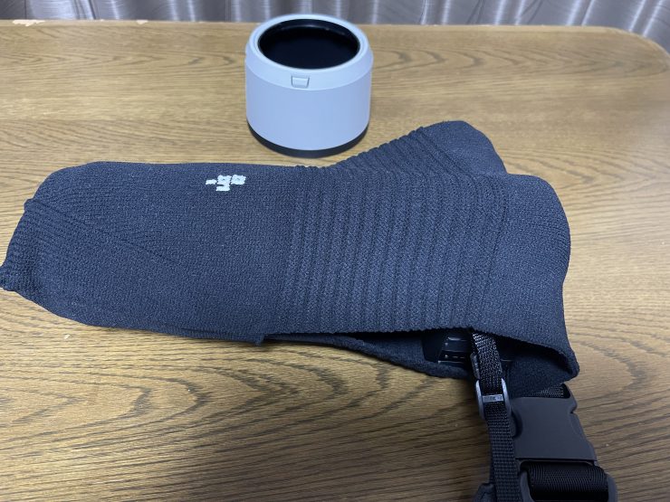 SONY ILCE-1M2と_go polygon XL