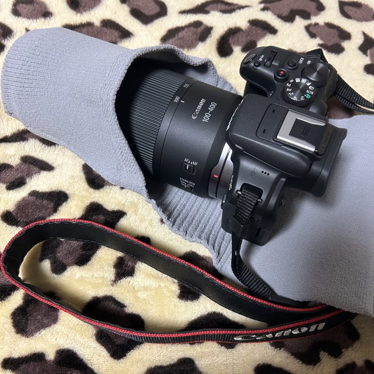 Canon EOS R10＋RF100-400mm F5.6-8 IS USM＆_go polygon XL