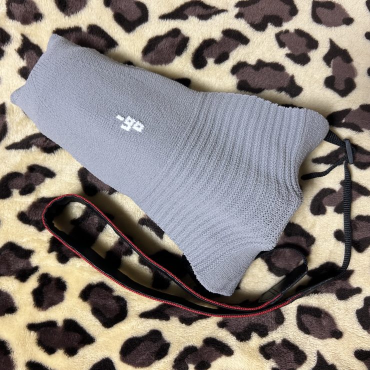 Canon EOS R10＋RF100-400mm F5.6-8 IS USM＆_go polygon XL