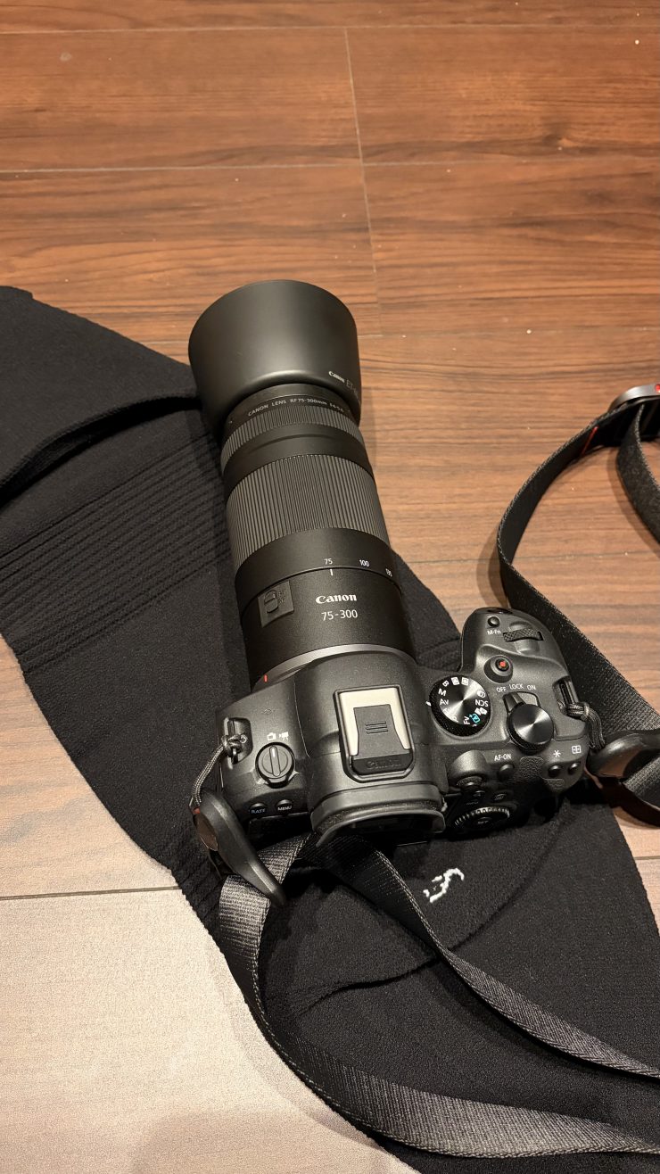 Canon eos R6 mark ii と_go polygon XL