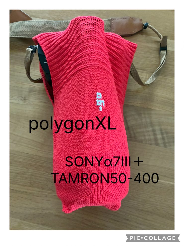 SONYα7Ⅲ