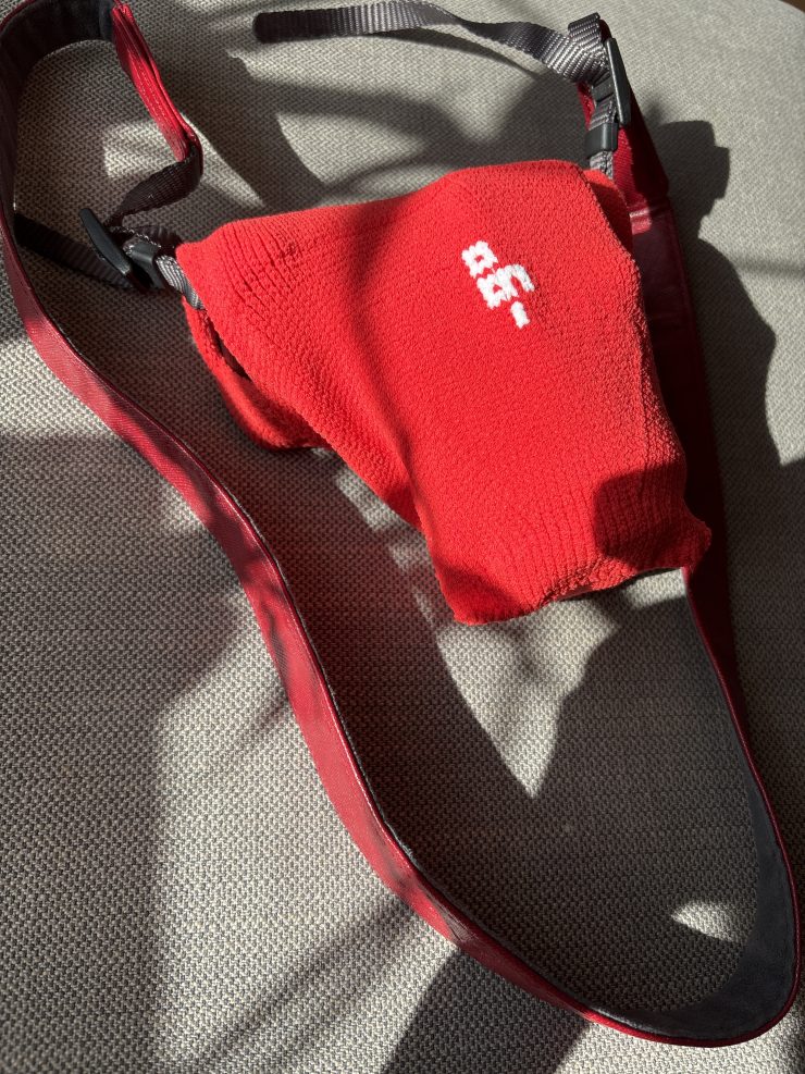 SONY α NEX-5Tとgo polygon S