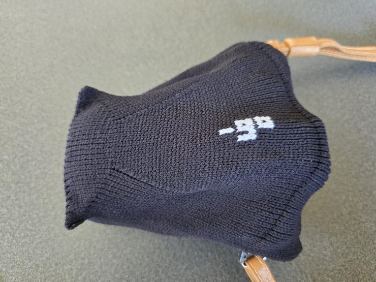 OLYMPUS OM-D E-M10 Mark IIIと_go polygon S