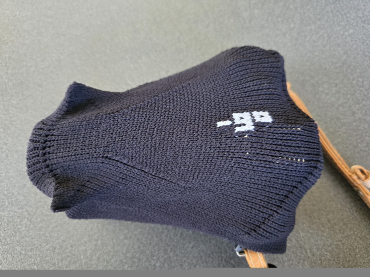 OLYMPUS OM-D E-M10 Mark IIIと_go polygon S