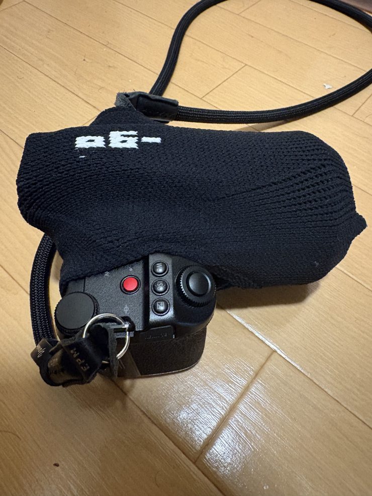 Lumix s5iix と_go polygon S