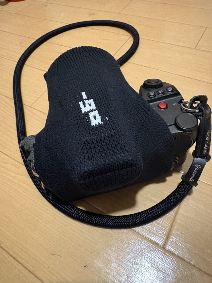 Lumix s5iix と_go polygon S