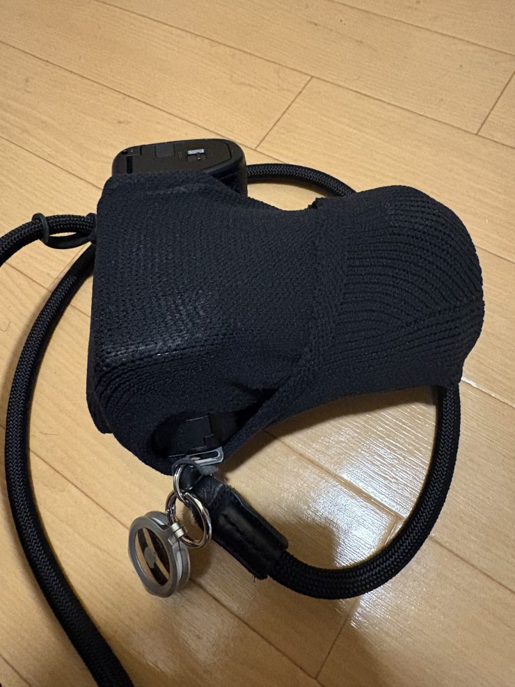 Lumix s5iix と_go polygon S