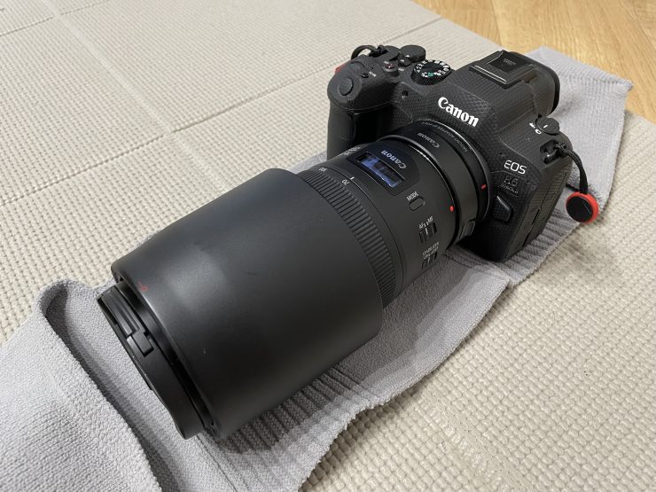 Canon EOS R6 markⅡ / _go polygon W for camera XL