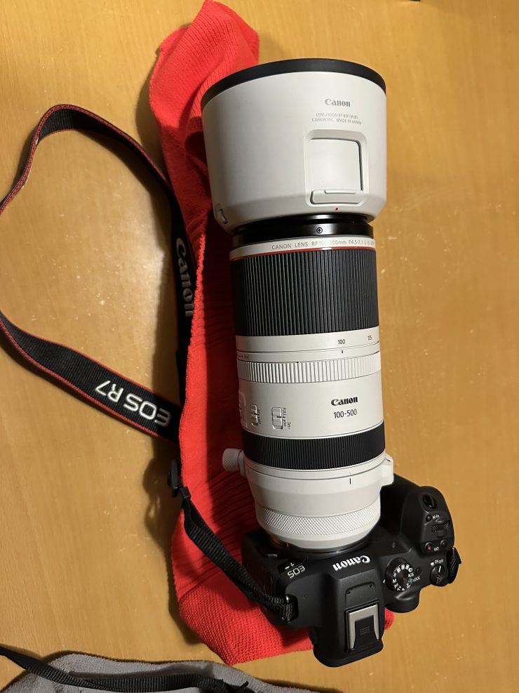 EOS R7とRF100-500をXLサイズで