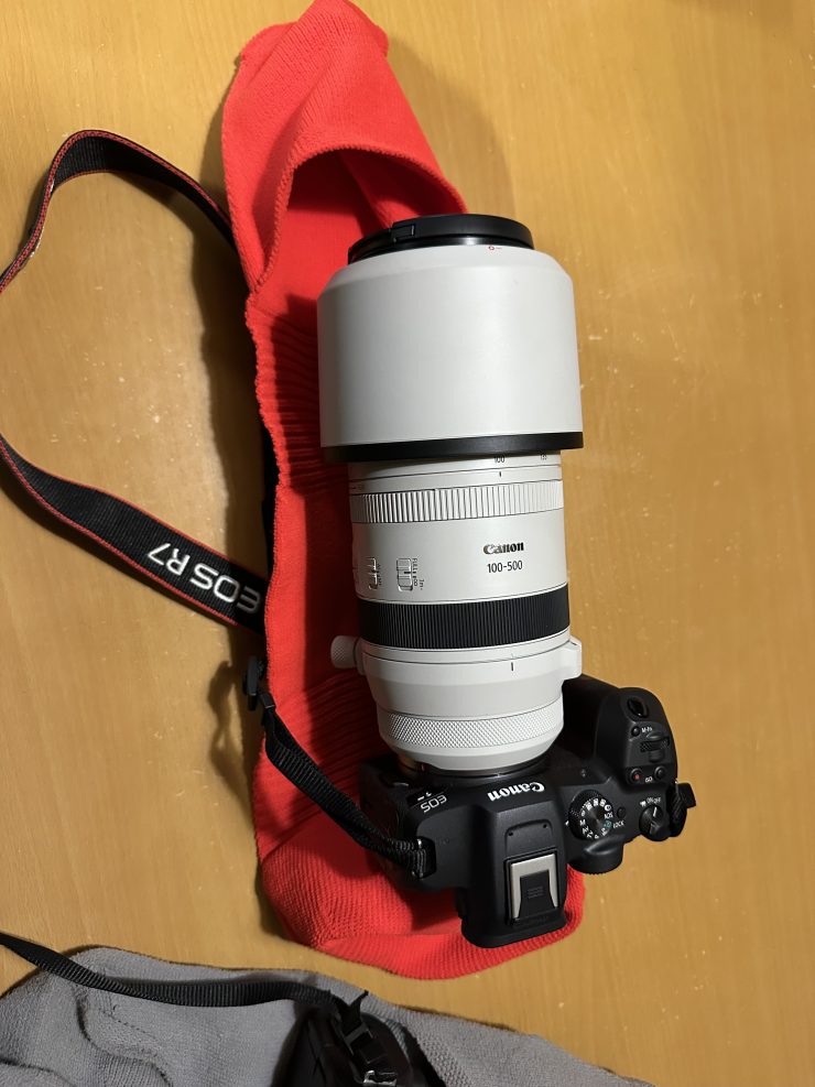 EOS R7とRF100-500をXLサイズで