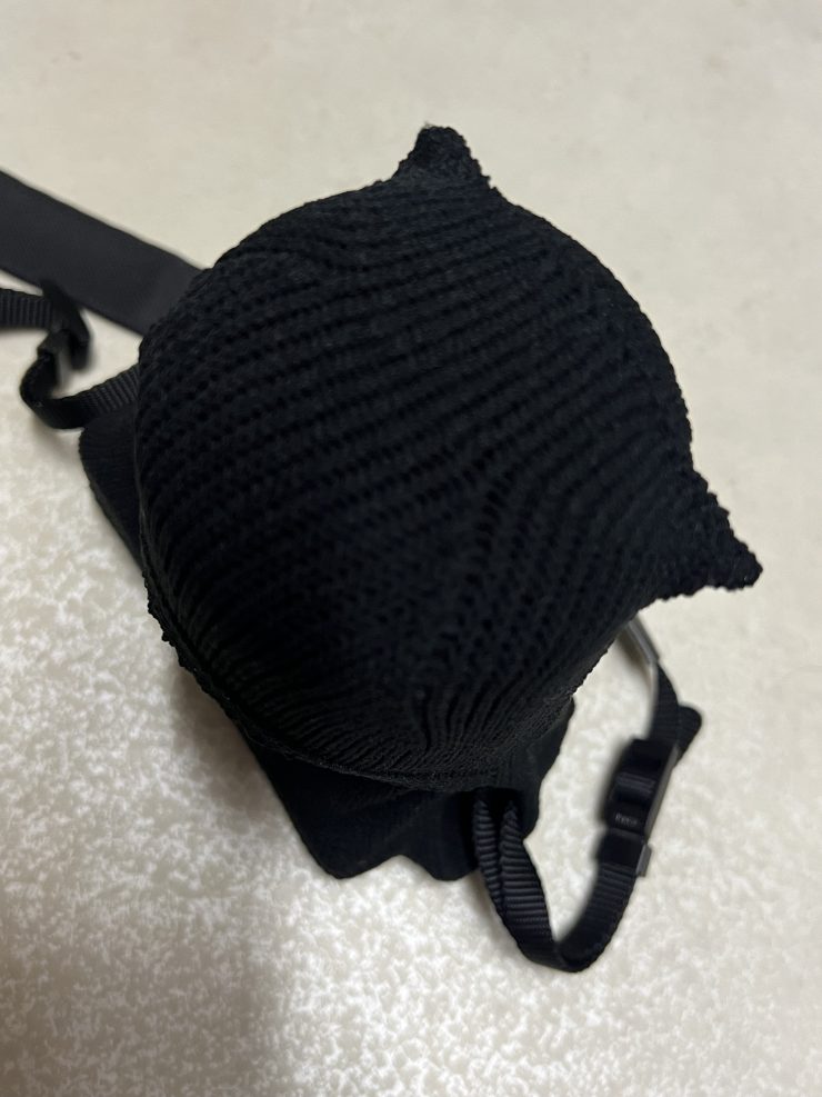 SONY α6000 に_go polygon S