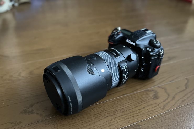 Nikon D500とgo polygon W for camenaXL多用形・厚地 タイプ試作モデル （ライトグレー）