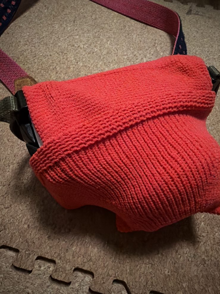 Sony ZV-E1と_go polygon S