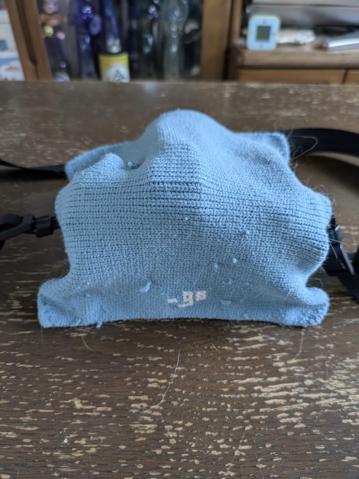 春の花を探して山歩き