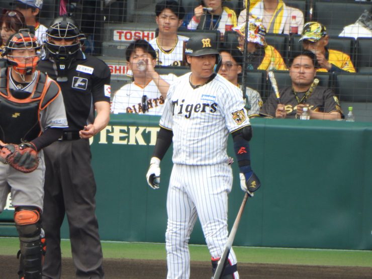 甲子園球場で阪神の推し選手を撮影